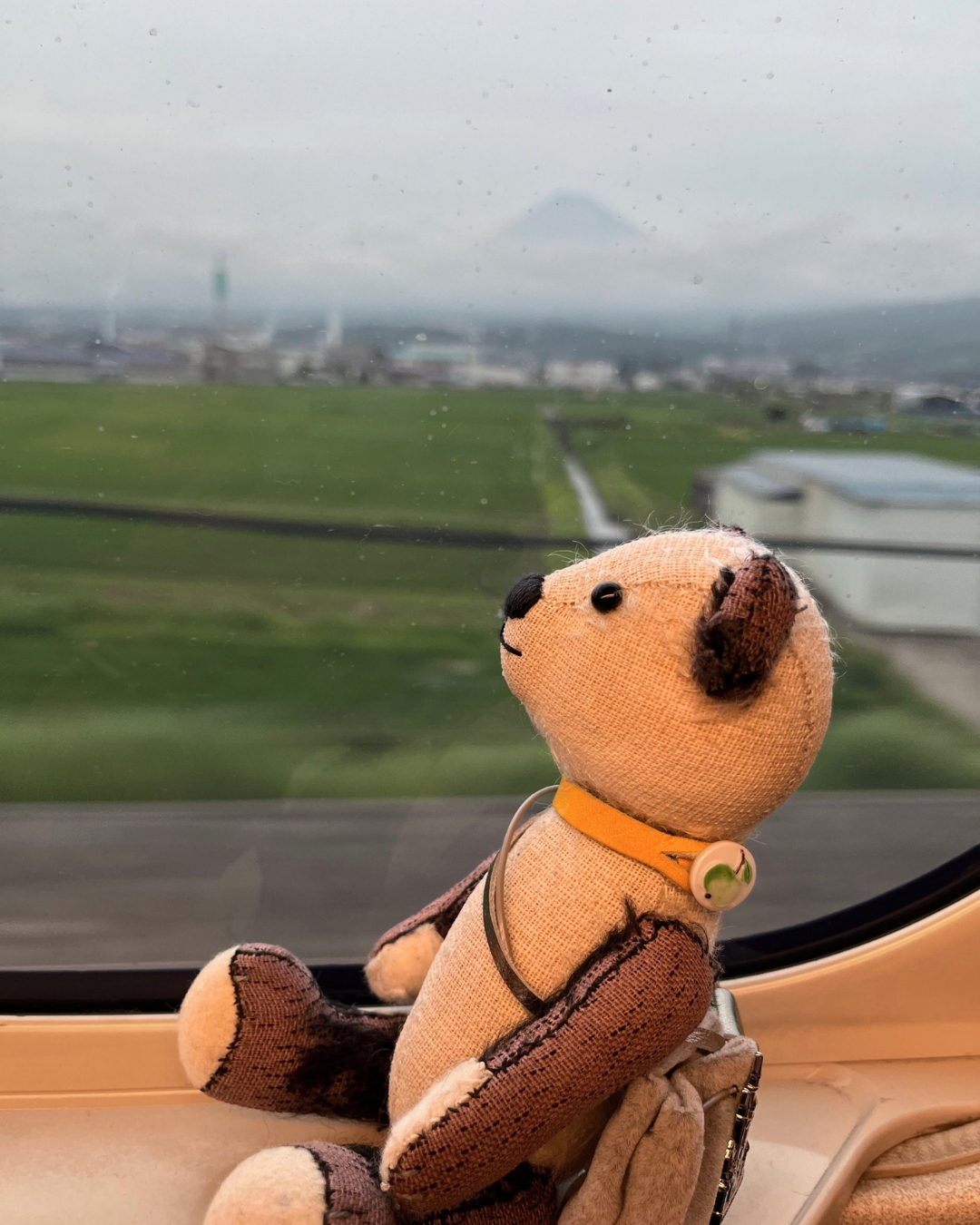 帰りは富士山がてっぺんだけみえたよ、またね