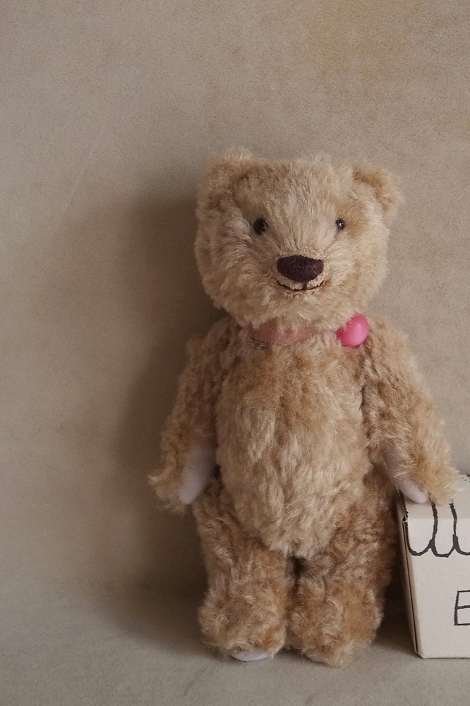 fairysaddle teddybear
