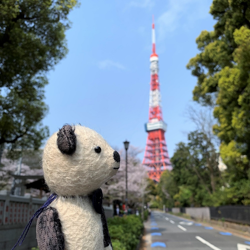 桜吹雪の道を通って
