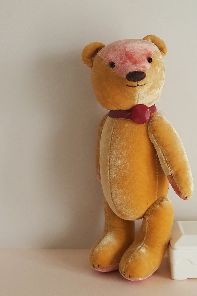 fairysaddle teddybear