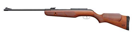 Gamo Hunter IGT