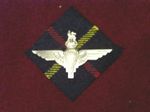 Hunting Stewart tartan with the parachute badge. 