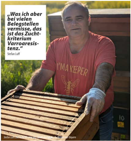 Stefan Luff im Interview bei Buckfastjournal