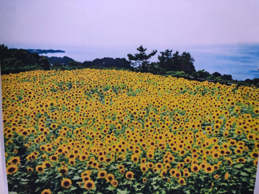 イメージ写真
