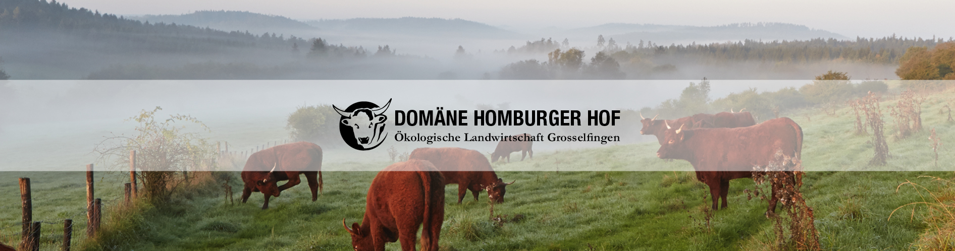 unsere bio produkte im regionalen einzelhandel die domane homburger hof in grosselfingen der bio bauernhof