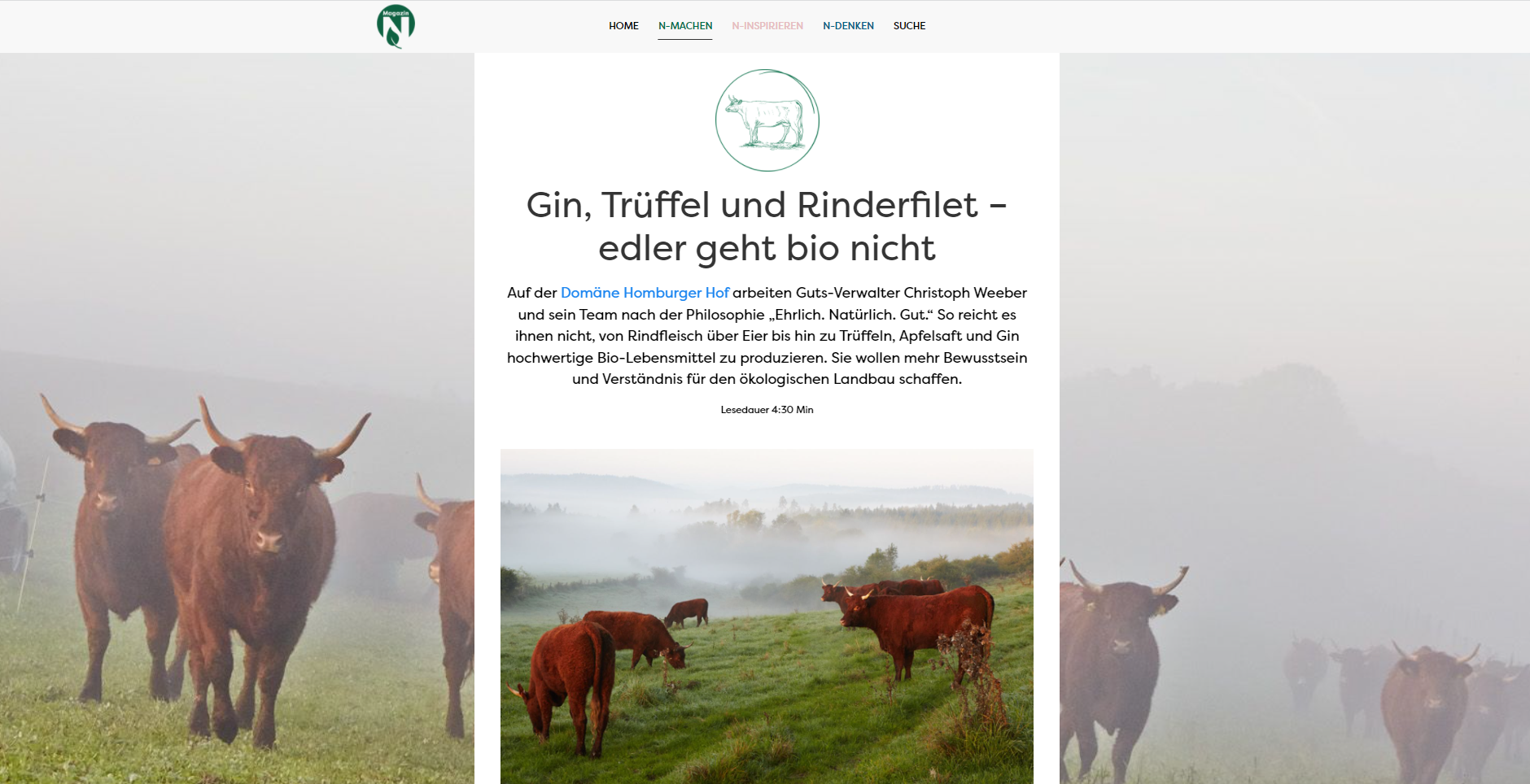 In der Presse: "Gin, Trüffel und Rinderfilet – edler geht bio nicht"