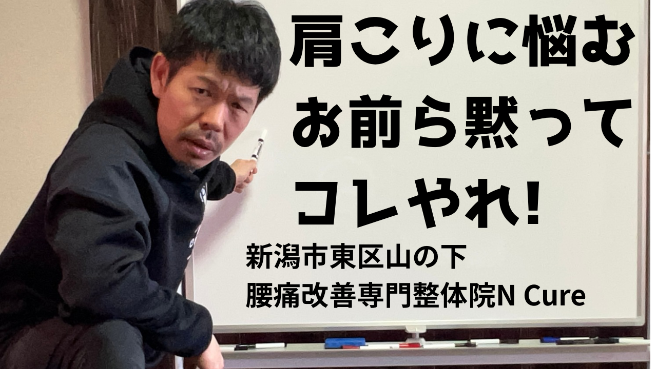 【動画講義】肩こり・腰痛でお悩みの方へ｜産後整体・学割U24も受付中です/新潟市東区山の下の整体院