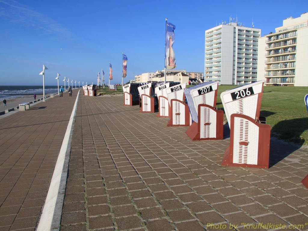 Norderney partnersuche