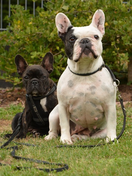 Tochter und Mama