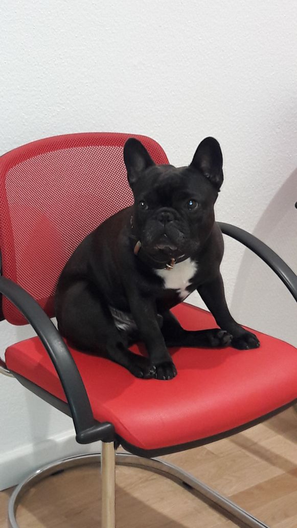 Black Cooper Januar 2018