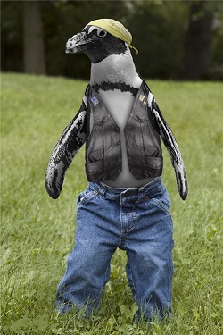 動物もアレルギー？