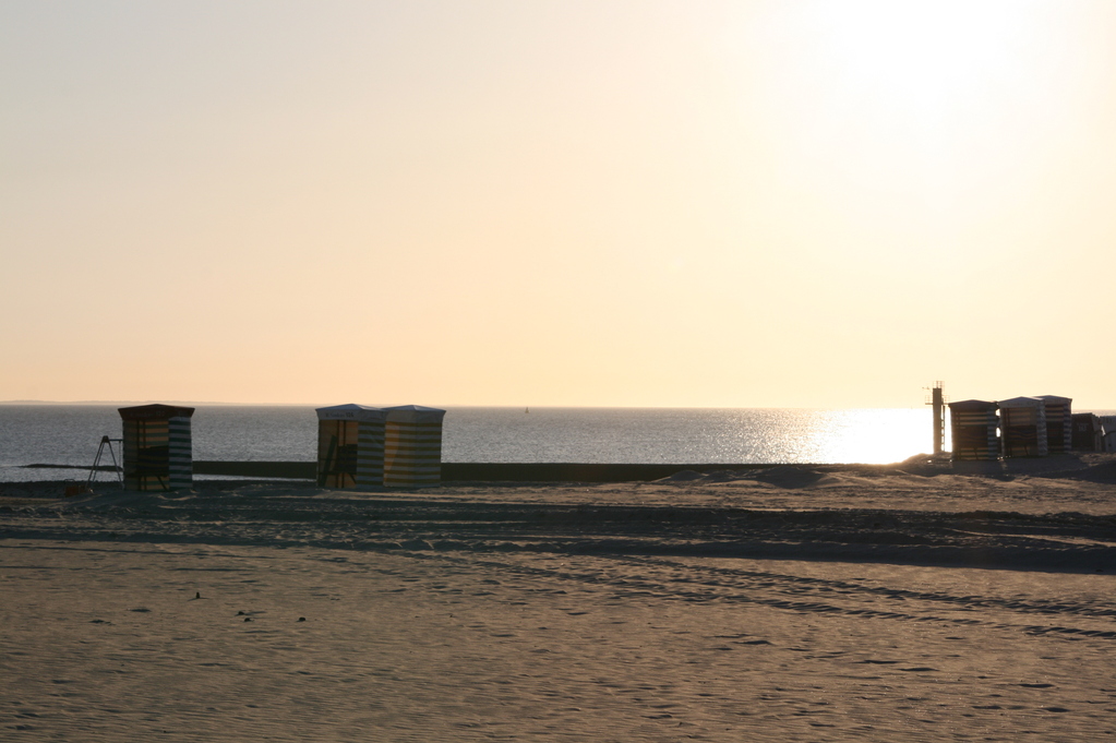 Ferienwohnung Kiebitznest Borkum