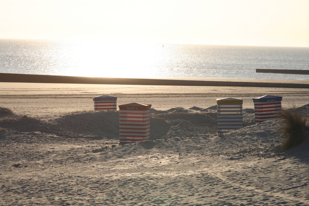 Ferienwohnung Kiebitznest Borkum