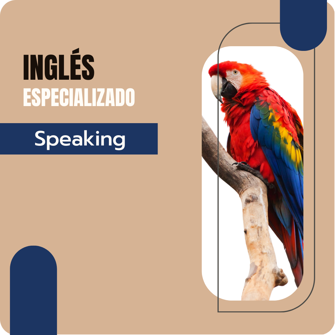100% Conversación en Inglés