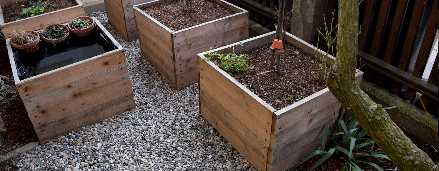 de curae | tiny urban garden during spring – Thorsten Schlesinger
