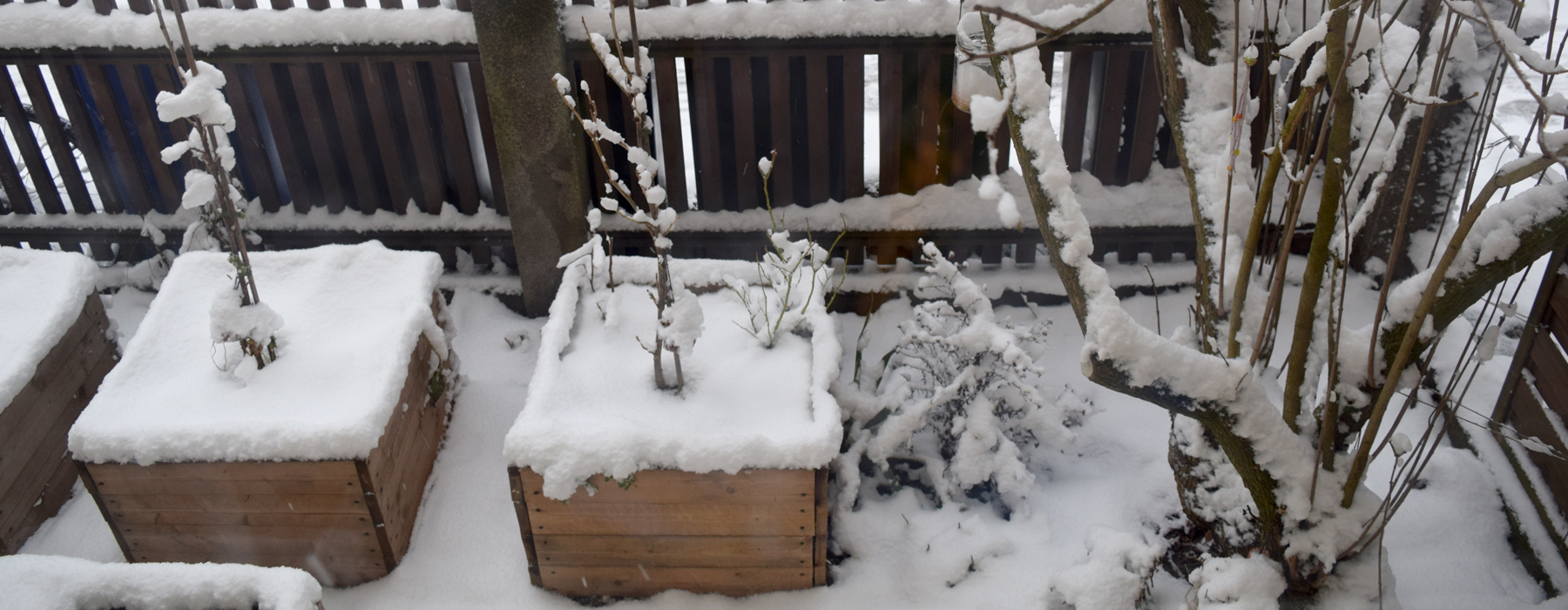 de curae | tiny urban garden in wintertime – Thorsten Schlesinger