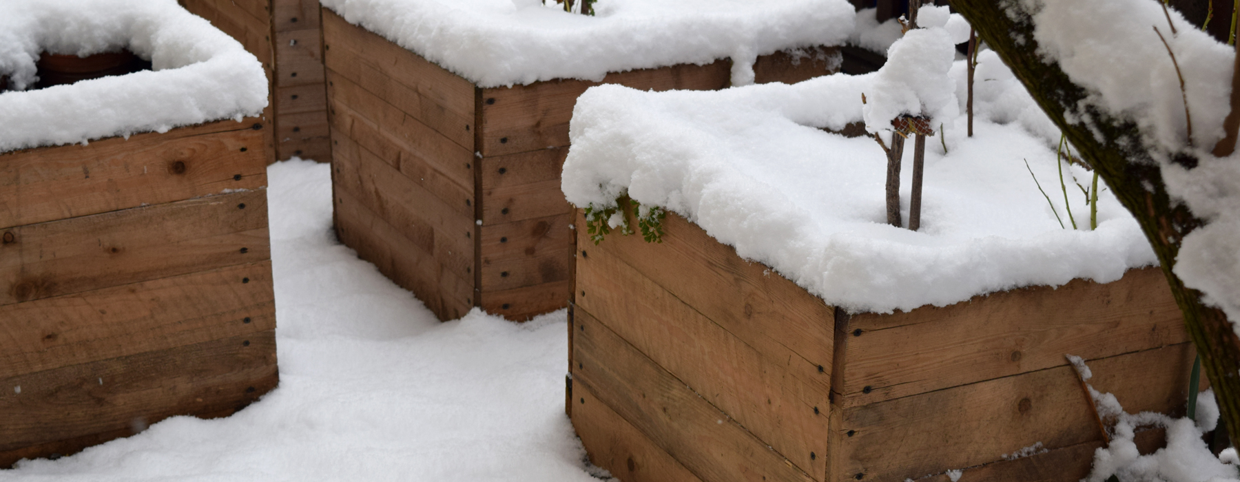 de curae | tiny urban garden in wintertime – Thorsten Schlesinger
