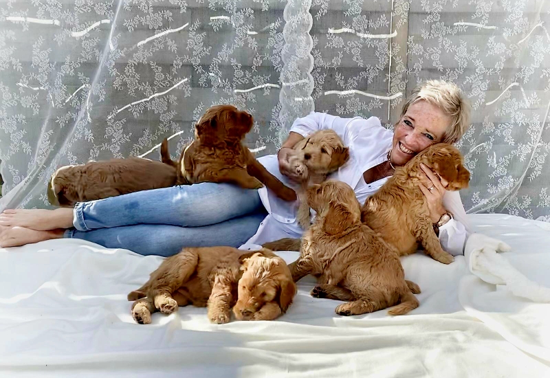 Spreekt voor zich ❤️🍀😃