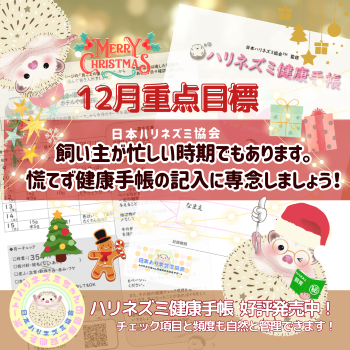 12月重点目標！ーハリネズミ健康手帳ー