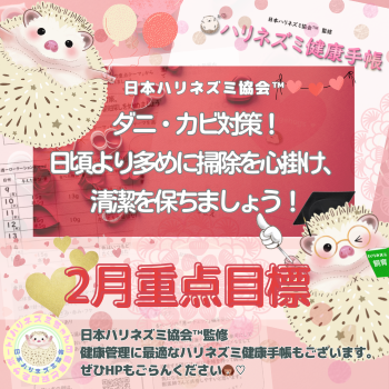 2月重点目標！ーハリネズミ健康手帳ー