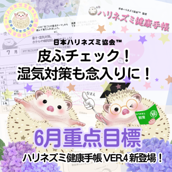 6月重点目標！ーハリネズミ健康手帳ー