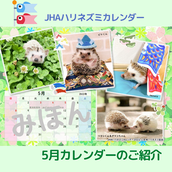 #JHAハリネズミカレンダー 5月！