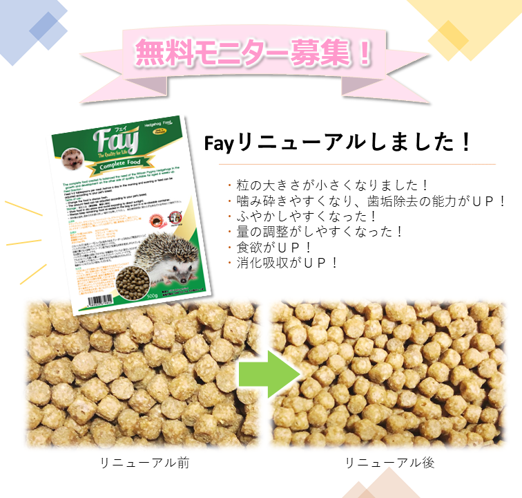 リニューアルFayモニター結果！