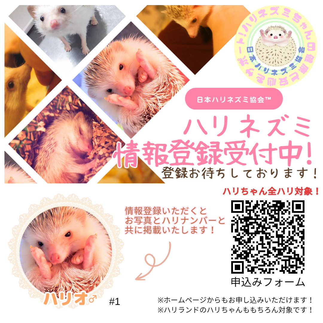 ▲ハリネズミ飼育されてる方ご登録ください！