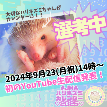【選考中！】#JHAハリネズミカレンダー2025