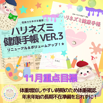 11月重点目標！ーハリネズミ健康手帳ー