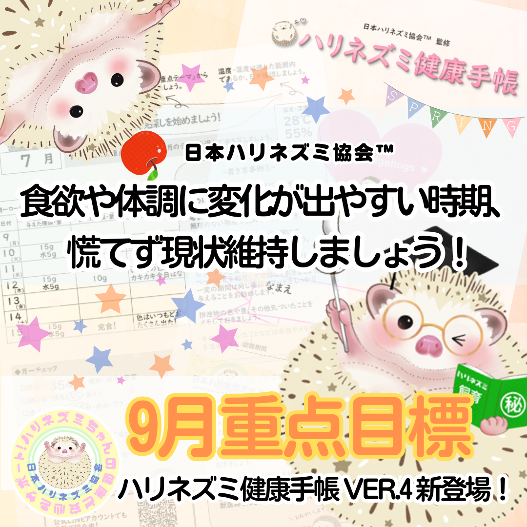 月ごとに重点目標を発信中！詳細クリック！