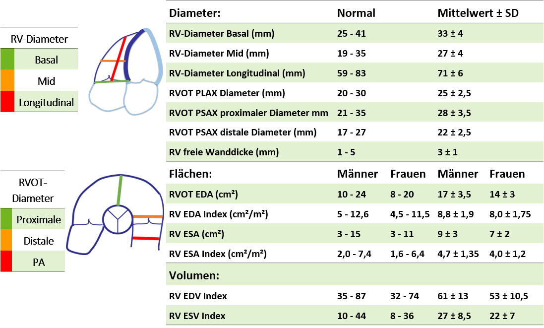 RECHTER VENTRIKEL Echokurs Graz by TECARDIO