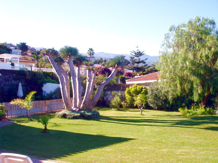 Gartengelände der Ferienvilla Exquisite in Cuesta de la Villa, ideal für Familien mit Kindern