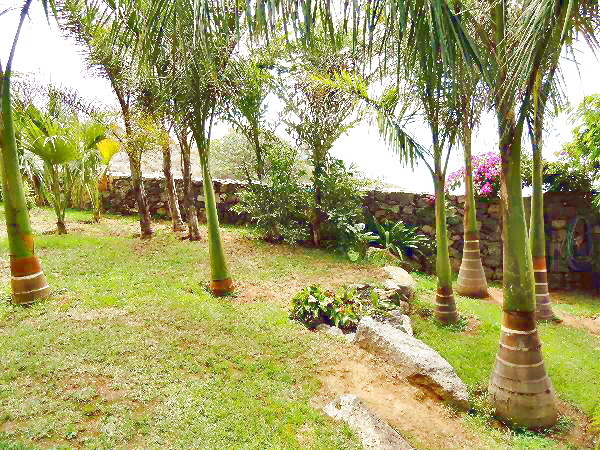 Palmengarten