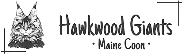 hawkwood-giantss Webseite!