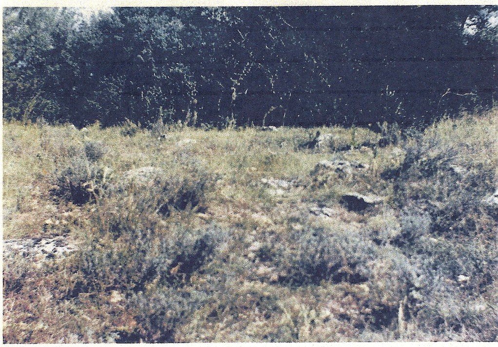 Photo année 1950.se voyait un alignement de pierres appelé Cimetière.