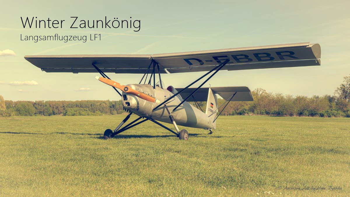 Fototermin mit dem Winter Zaunkönig