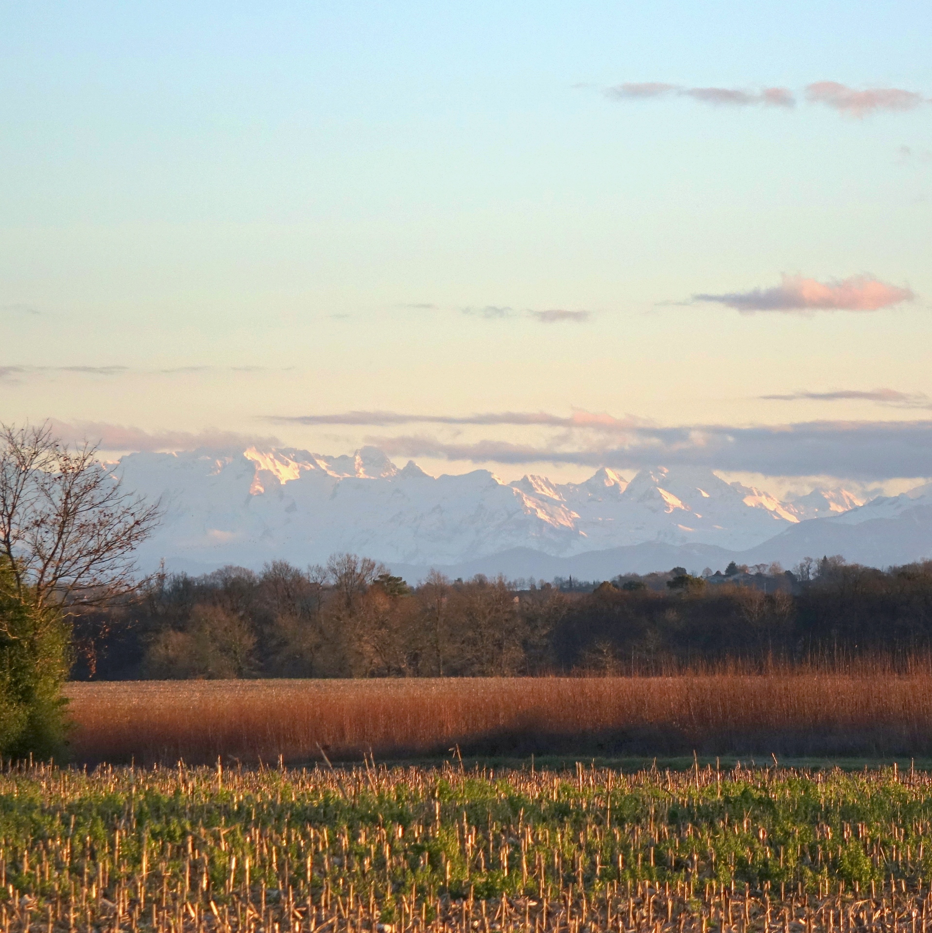 Vue des pyrenées depuis la maison