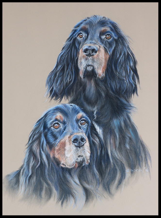 Hundezeichnung, Tierzeichnung, Hundemalerei, Tiermalerei, Gordon Setter, Hundeportrait, Zeichnung, Pastellzeichnung, Kundenauftrag Commission