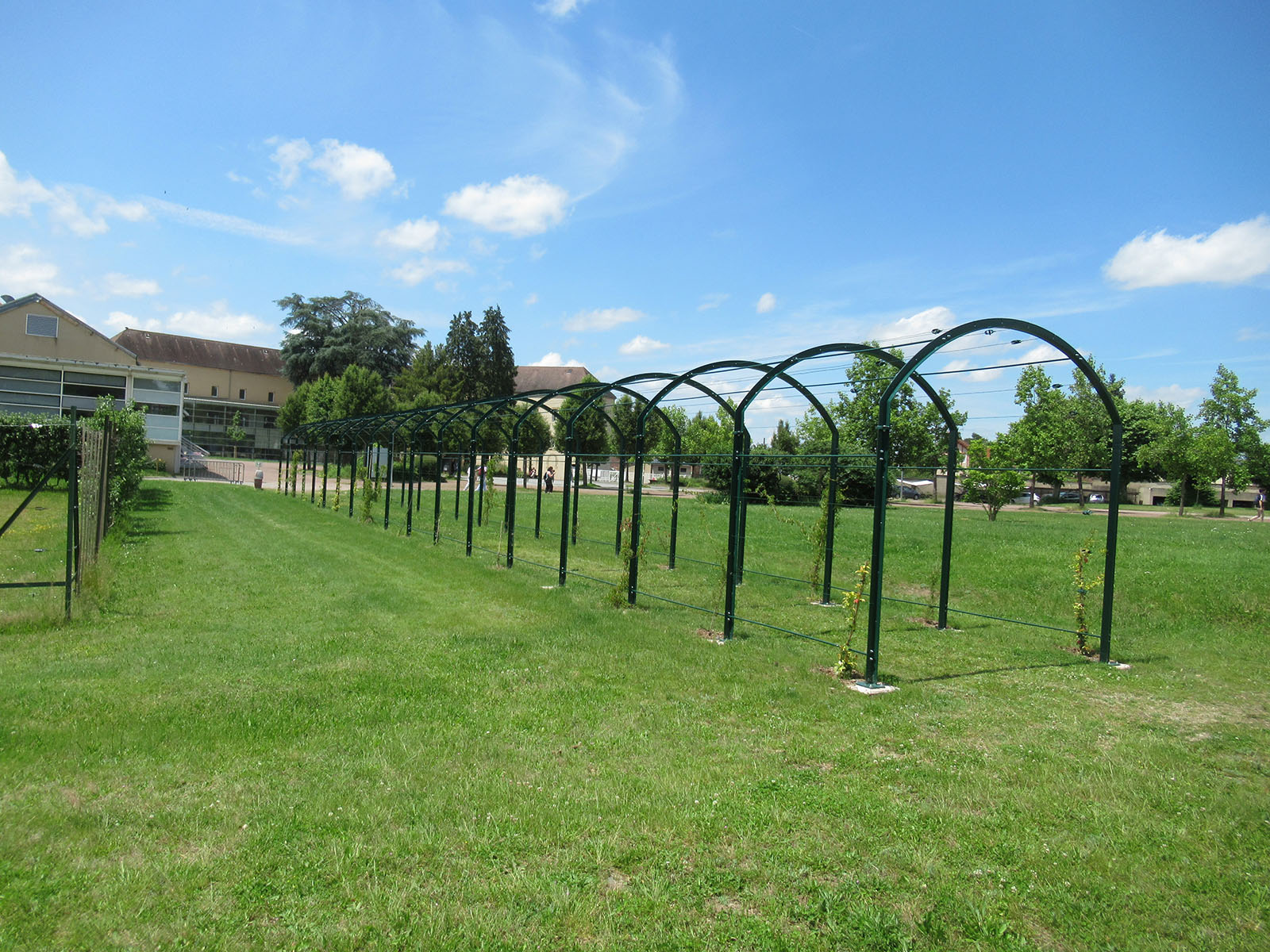 2024 - Amgt paysagers du lycée Jean Monnet - Yzeure (03) - 150 000€ HT