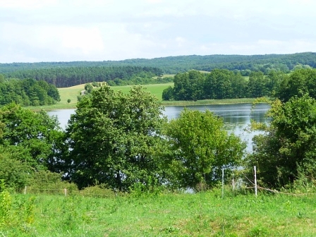 Blick vom Gotteswerder auf den Brodowinsee