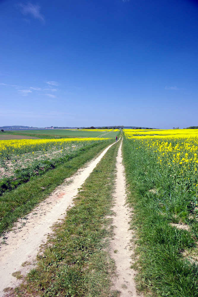 auf die Halbinsel Liddow