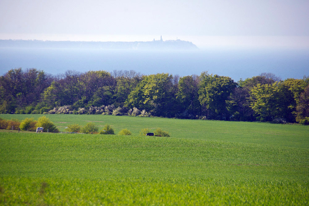 Oberhalb von Lohme