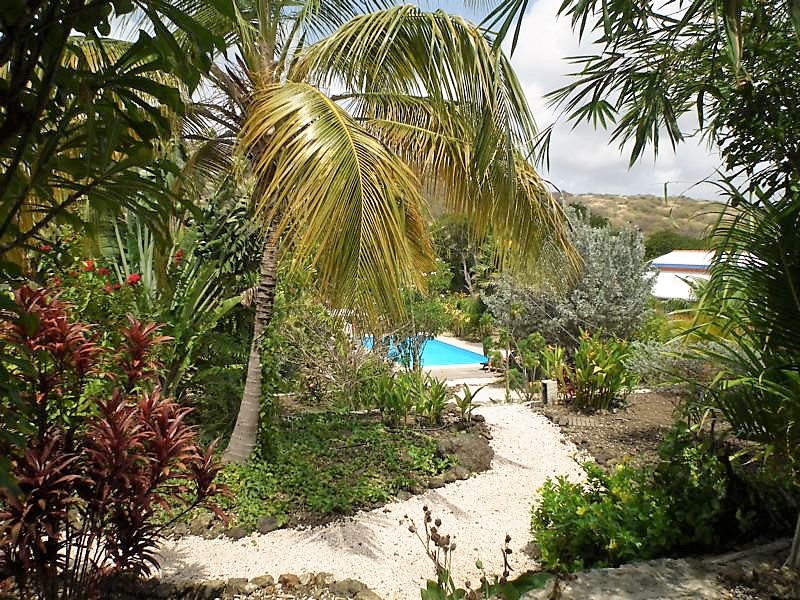 Tropischer Garten Zum Relaxen Und Entdecken Traumurlaub