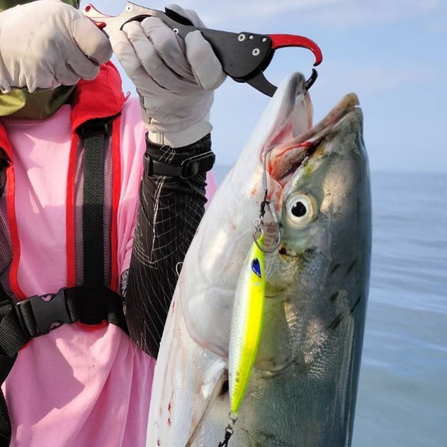 8月13日(日) 伊勢湾ジギング釣果