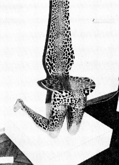 Frauenphantasien: ein verführerisches Leoparden-Muster auf erotischschlanken Frauenbeinen, dem Kopf Peter Ruchs entsprungen.