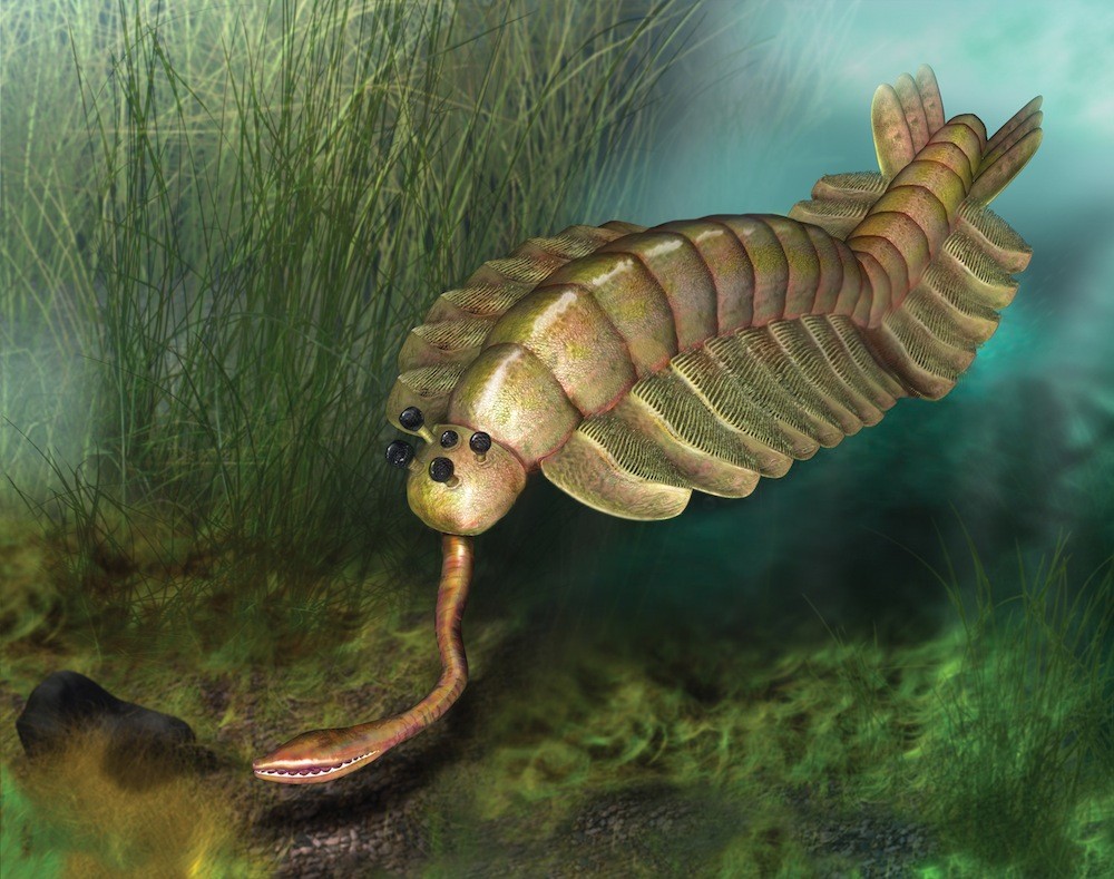 Opabinia