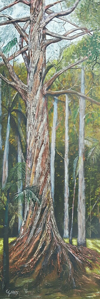 Eukalyptus, 40 x 120