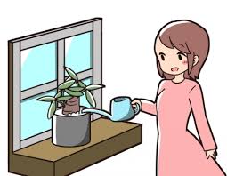 風水アドバイザーがご提案の金運アップの観葉植物の種類と簡単風水術