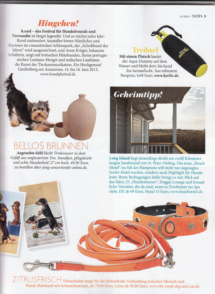 Veröffentlichung in DOGS /Hundemagazin/ Ausgabe 2013 Mai-Juni